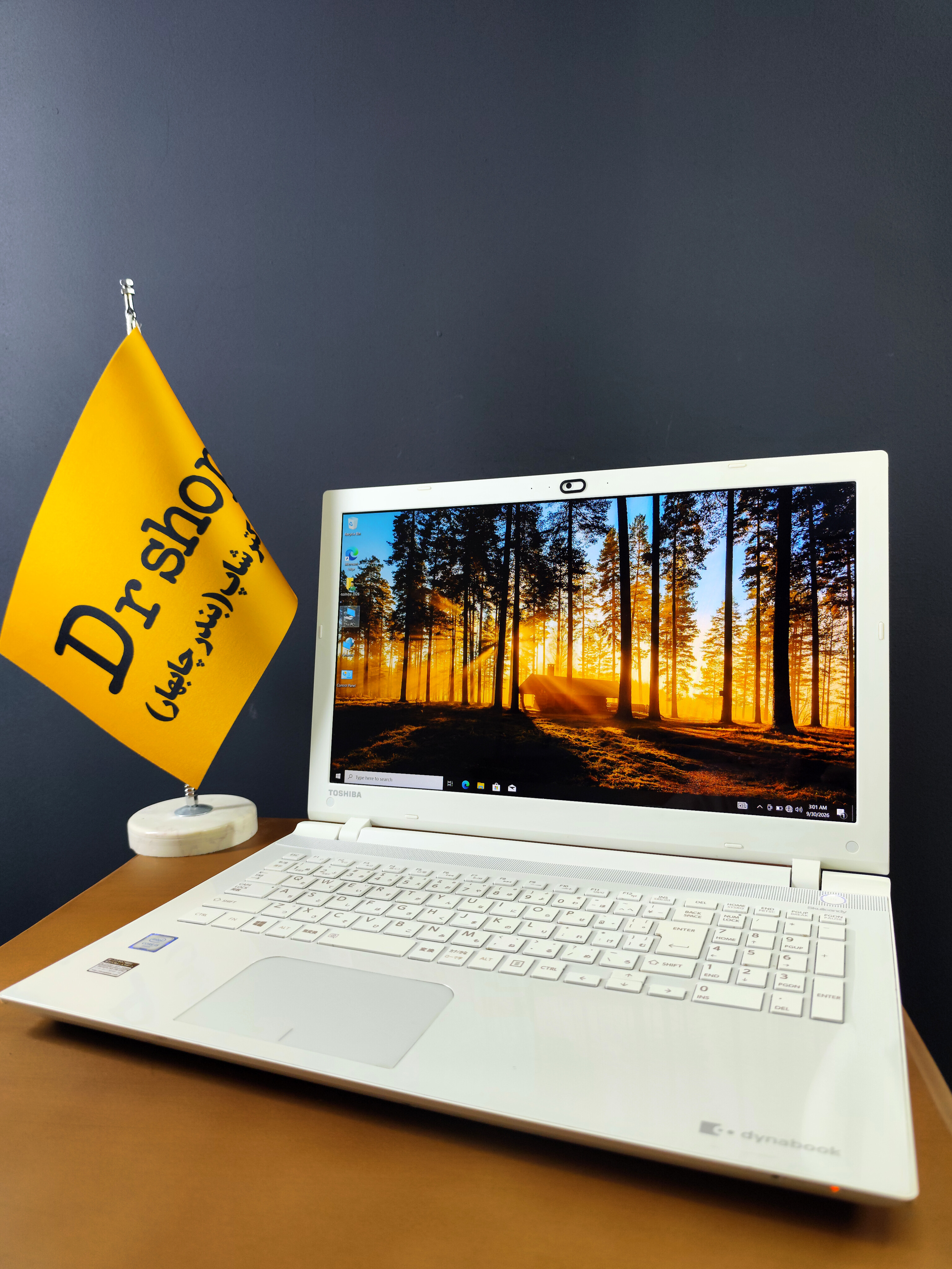 لپ تاپ 15.6 اینچی Toshiba | مدل Dynabook T55/TWE | حافظه 512GB | رم 8GB | استوک گرید A
